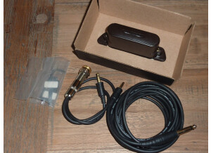 L.R. Baggs M1 (82486)