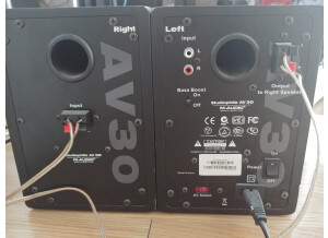 M-Audio AV 30 (78714)