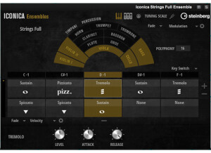 iconica_ensembles-slider-real_orchestra-960x500