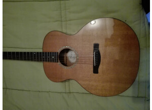 Fender ESM-10 (66994)