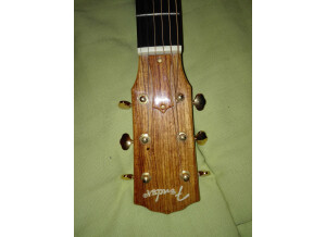 Fender ESM-10 (97792)