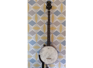 Gretsch G9450 "Dixie" 5-String Open Back Banjo (80631)