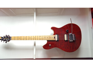 Peavey Wolfgang Special EXP