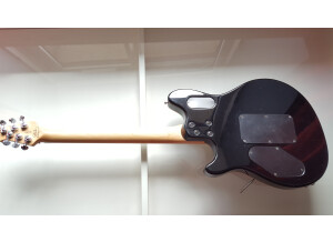 Peavey Wolfgang Special EXP (18643)