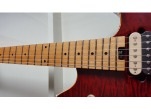 Peavey Wolfgang Special EXP (37325)
