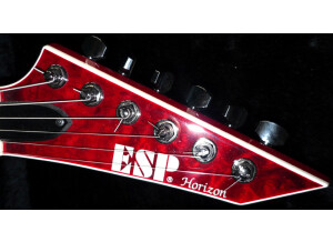 ESP Standard Series - Horizon - NT II