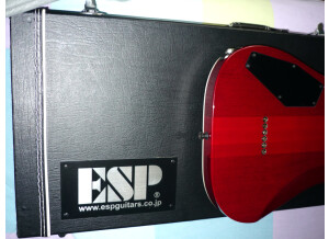 ESP Standard Series - Horizon - NT II
