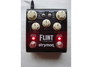 Strymon Flint (6140)