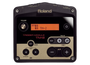 roland-tm-2-2359806