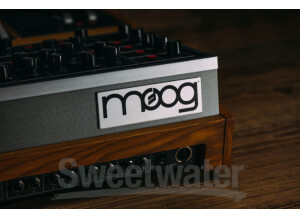 Moog Music Moog One (10857)