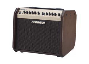 fishman-pro-lbx-5-loudbox-mini-60-watts-490971
