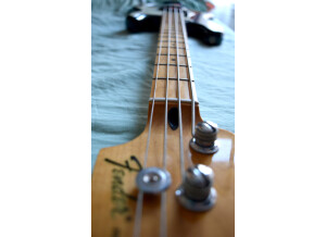 Fender Standard Precision Bass [2009-Current] (49100)