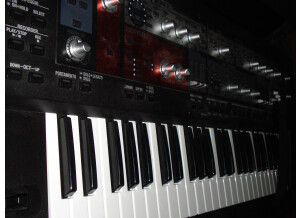 Roland SH-201 (20655)