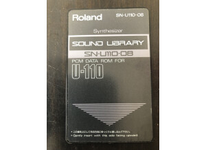 roland SN-U110-08 synthtizer.JPG