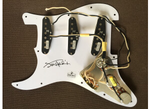 Seymour Duncan Jimi Hendrix Signature Loaded Pickguard Voodoo Style (82504)