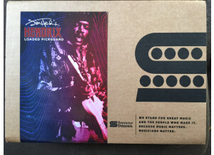 Seymour Duncan Jimi Hendrix Signature Loaded Pickguard Voodoo Style (52891)