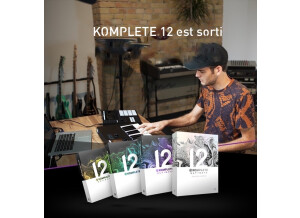 Native Instruments Komplete 12 Ultimate Collector's Edition (48142)