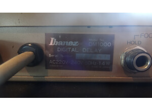 Ibanez DM-1000 (75945)