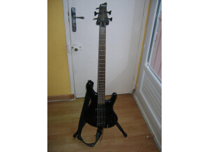 Ibanez Ergodyne Series - EDB-605