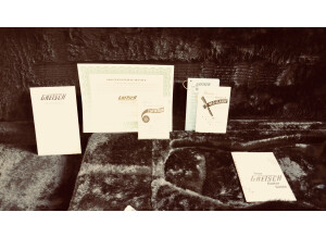 Gretsch G6199 Billy-Bo Jupiter Thunderbird - Firebird Red (75596)