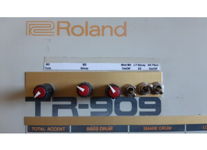 Roland TR-909 (77965)