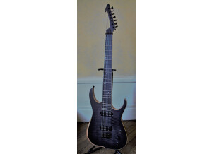Fender Bassman 300 Pro (11395)
