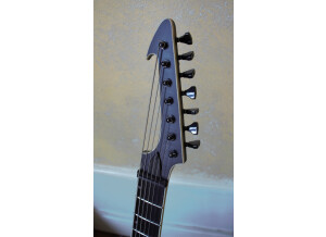 Fender Bassman 300 Pro (24293)