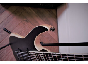 Fender Bassman 300 Pro (67935)