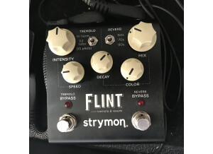 Strymon Flint (75042)