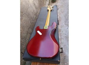Fender Precision Bass (1979) (84815)