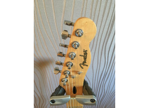 Fender Special Edition Lite Ash Telecaster (66423)