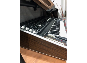 Moog Music MultiMoog (96211)