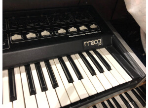 Moog Music MultiMoog (93165)