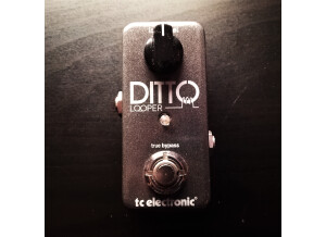 TC Electronic Ditto Looper (47783)