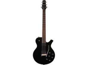 Parker Guitars PM24V