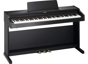 Roland RP201