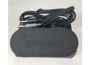 Roland Roland FS-3 Foot Switch (1367)
