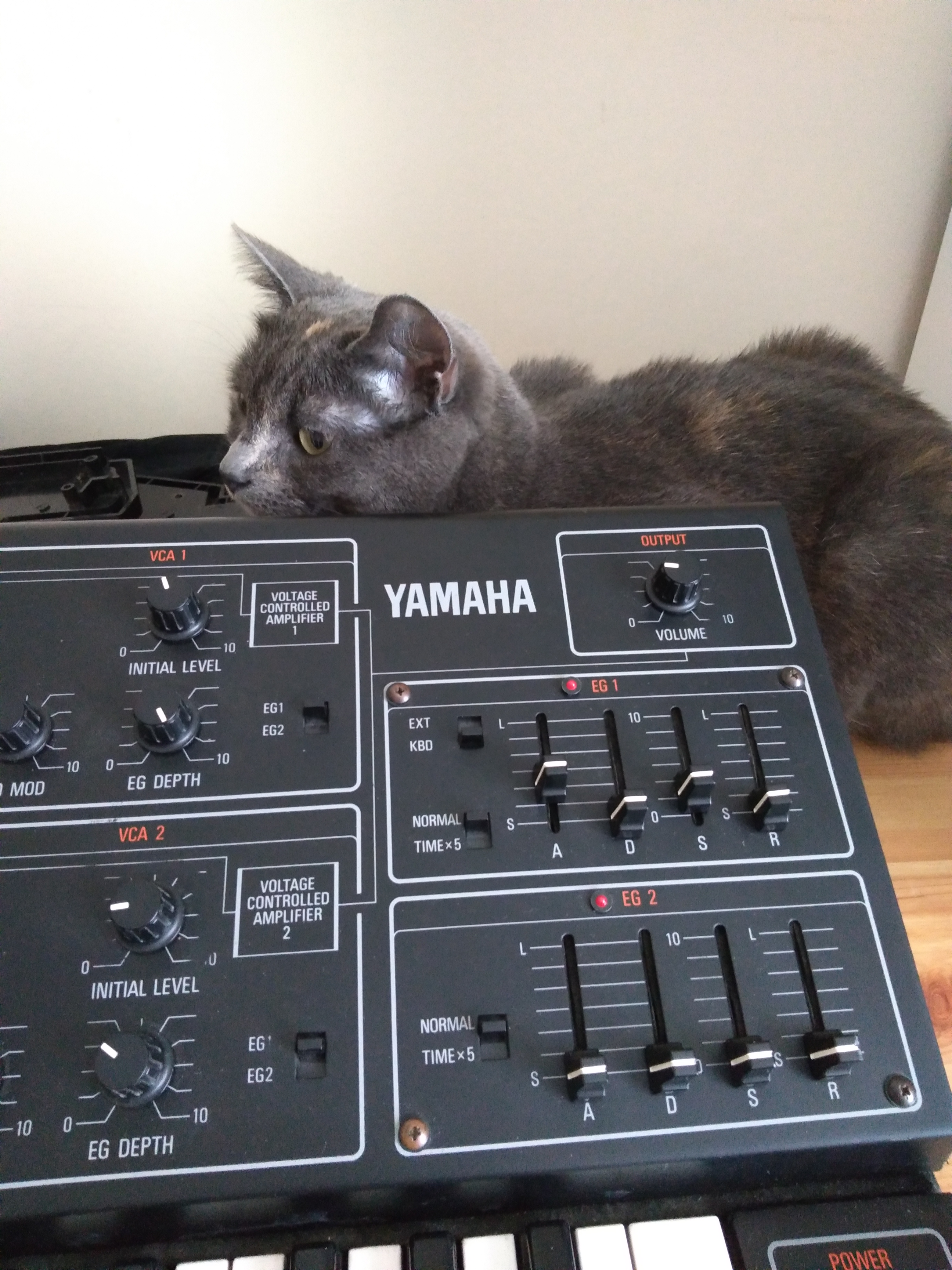 Yamaha CS15
