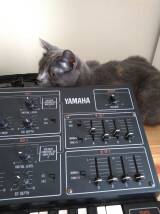 Yamaha CS15