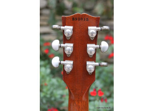 Gibson Custom Shop - Les Paul Elegant (36031)