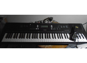 Yamaha PSR-EW300