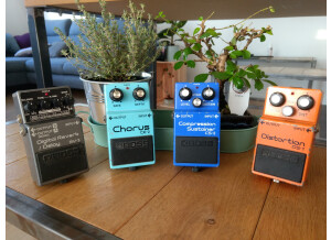 Boss RV-3 Digital Reverb/Delay (27568)