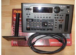 Roland V-Bass (66003)