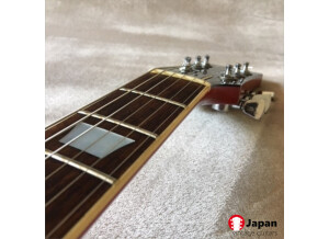 Greco_EGF500_1978_vintage_japan_guitars_6