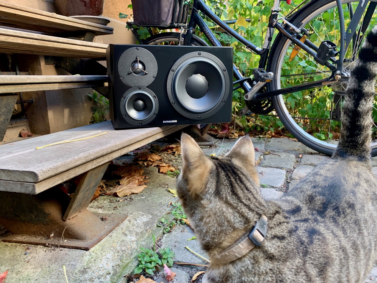 Dynaudio LYD 48 : LYD48 - 3