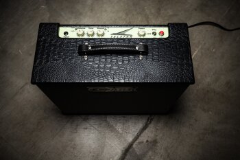 carr-telstar-amp-by-greg-vorobiov-0971 carr-telstar-amp-by-greg-vorobiov-0971
