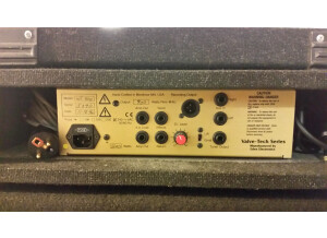 Eden Bass Amplification WT-400 (14006)