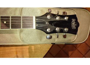Eastwood Guitars Delta 6 (43660)