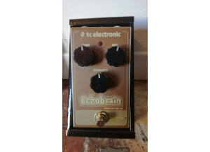 TC Electronic EchoBrain Analog Delay (40752)