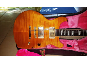 Gibson Les Paul Standard Double Cut Plus (80321)
